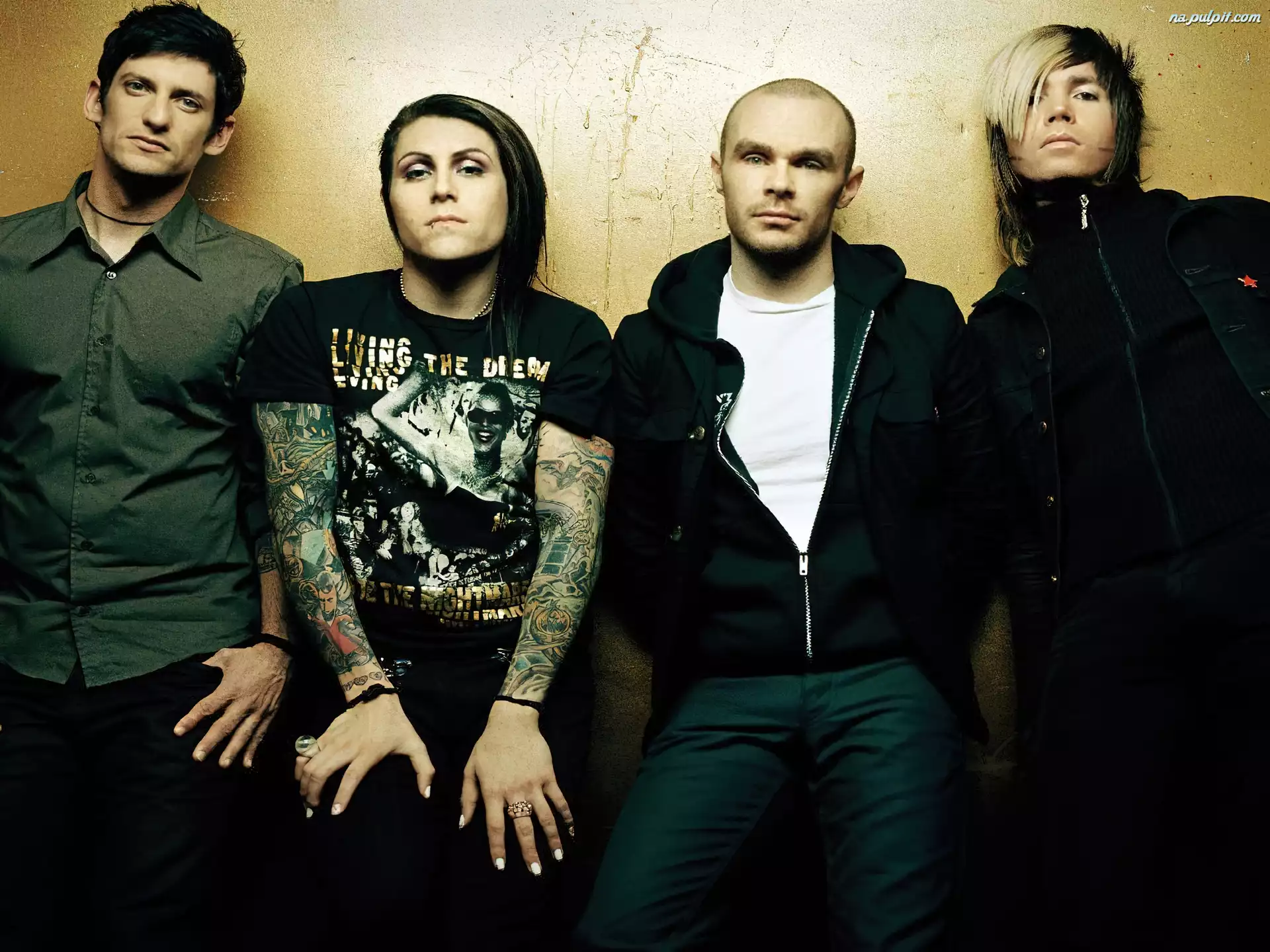 AFI の掲示板投稿写真＆画像